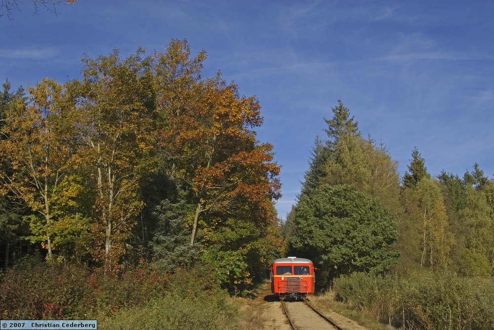 2007-10-13 (08) HBS Sm 212 i skoven ved Vrads.jpg