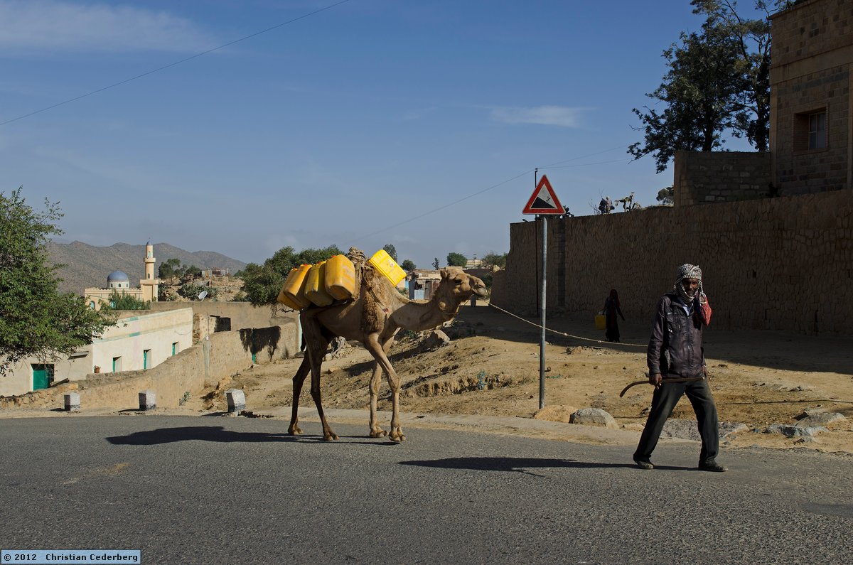 2012-12-20 09.31 Camel carrying water in Nefasit.jpg
