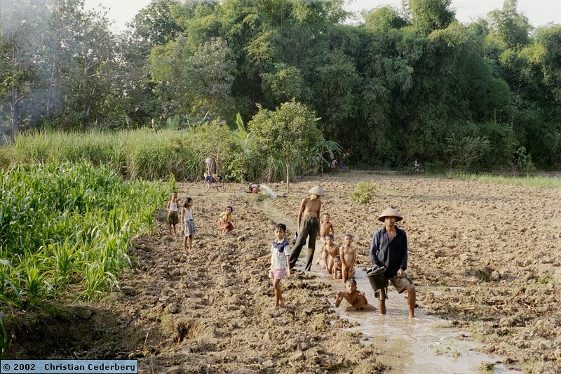 2002-08-02 (38) PG Trangkil - Taking a bath in the rice fields.jpg