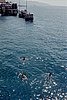 2002-08-14 (17) Ketapang ferry boat terminal - Children diving for coins.jpg