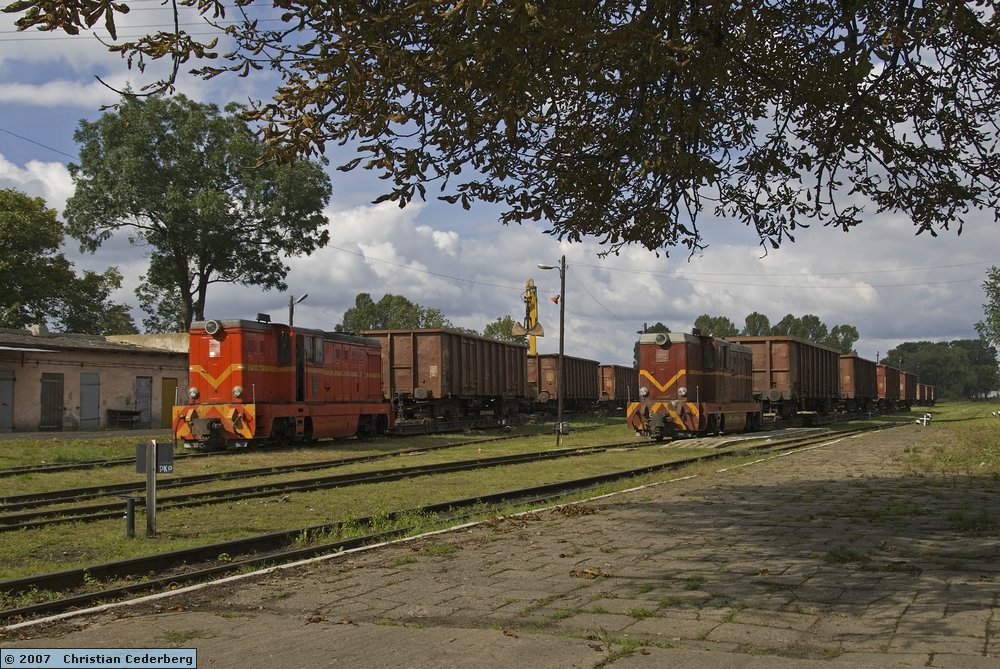 2007-09-13 (06) Ldx2 with freight trains at Krosniewice.jpg