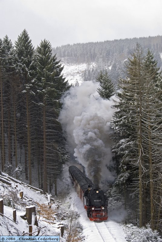 2008-03-18 10.59 99-7240 at Thumkuhlenkopf Tunnel.jpg