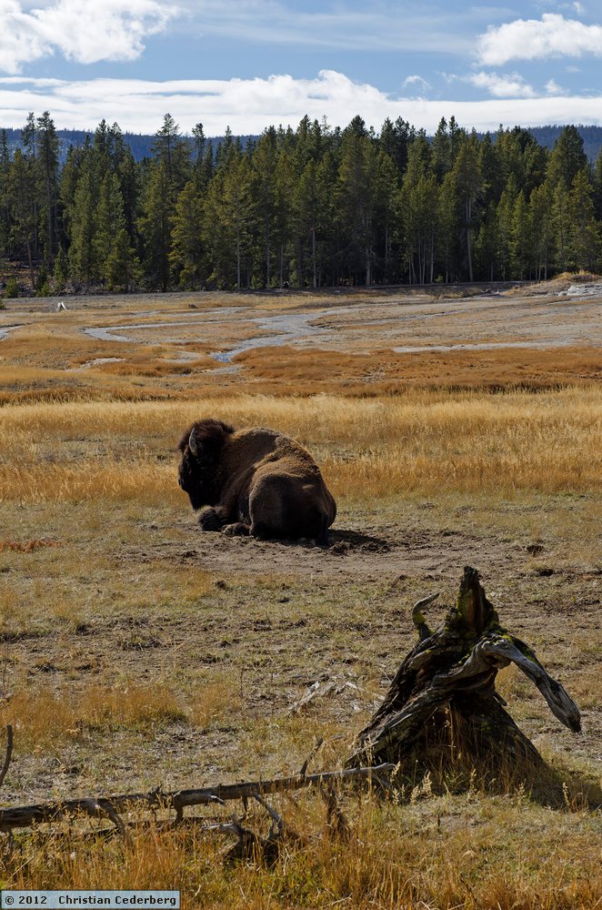 2012-10-30 14.08 Yellowstone National Park Wyoming.jpg