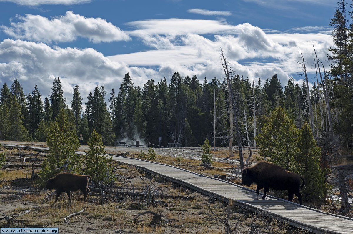 2012-10-30 14.21 Yellowstone National Park Wyoming.jpg
