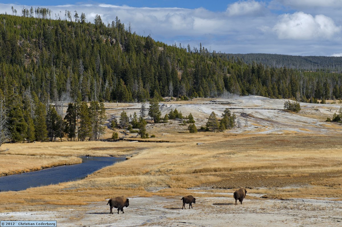 2012-10-30 14.23 Yellowstone National Park Wyoming.jpg